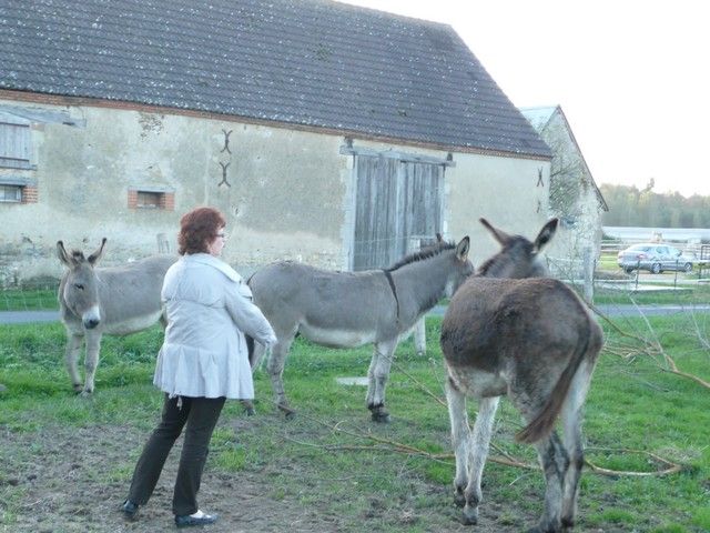 Balthazar et leonard Arrivee (38).jpg